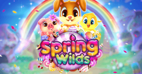 Mexico springWilds